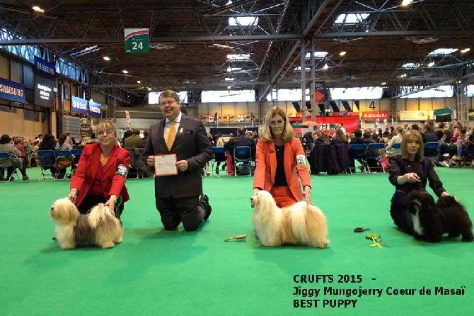 Coeur de masaï - CRUFTS 2015