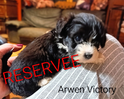 ARWEN VICTORY